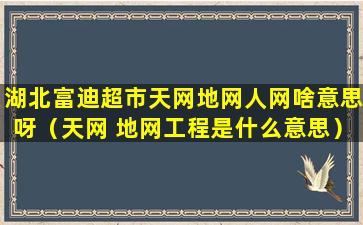 湖北富迪超市天网地网人网啥意思呀（天网 地网工程是什么意思）